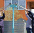 Более 400 заявок направили жители Поморья на догазификацию по президентской программе - Газета Важский край