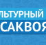 Активное долголетие: проект «Культурный саквояж» предлагает новую программу - Газета Важский край