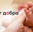 Власти Архангельской области разработают предметную программу взаимодействия с Фондом «Круг добра» - Газета Важский край